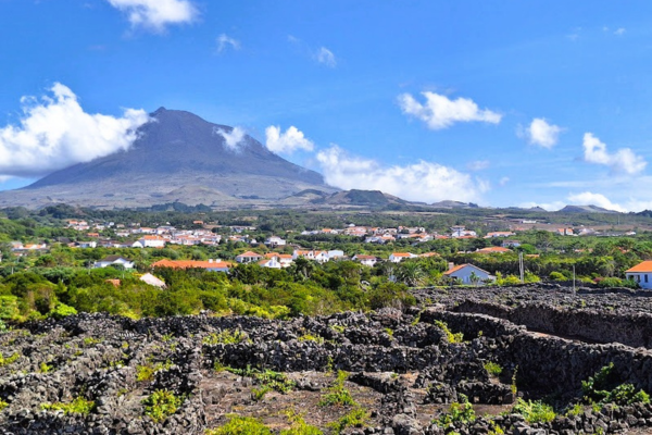 blog Atlantic Wines - clanek Vulkanicka vina